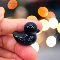 Obsidian Duck