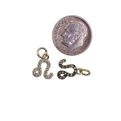 11x9mm Leo Zodiac Charm