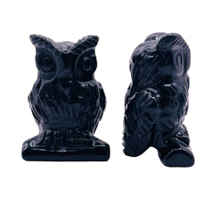 Obsidian Owl