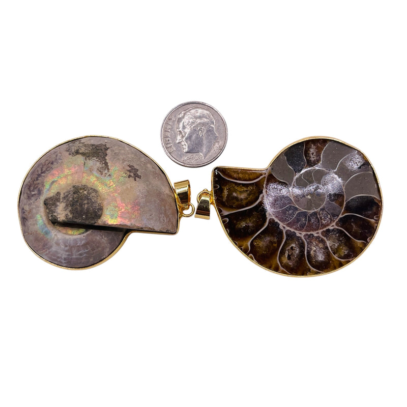 40mm Ammonite Fossil Pendants