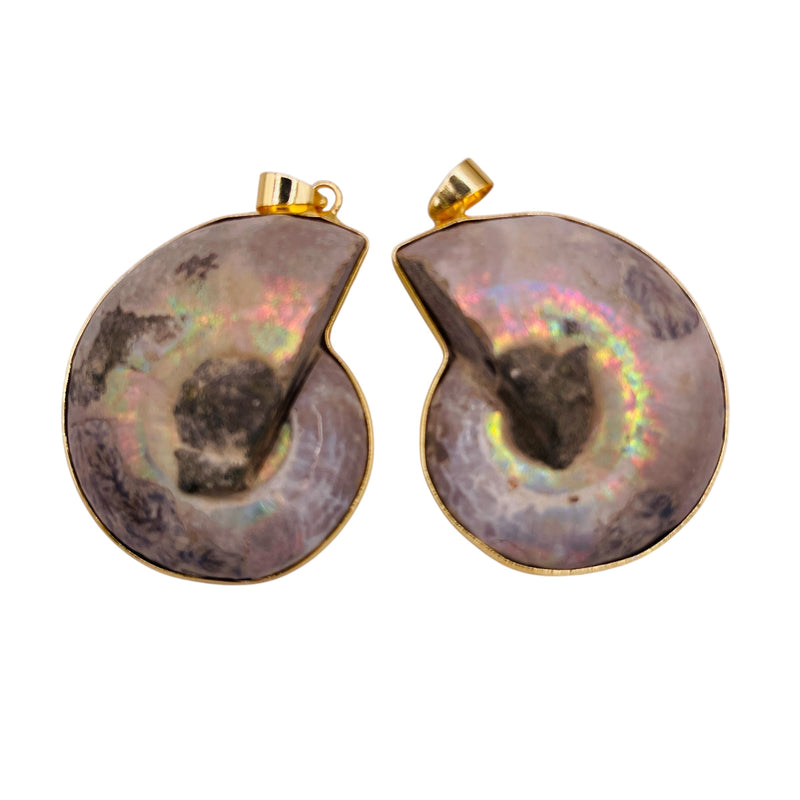 40mm Ammonite Fossil Pendants