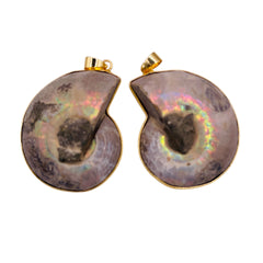40mm Ammonite Fossil Pendants