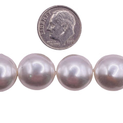 14mm Coin Shell Pearl