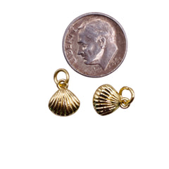 10x8mm Shell Charm