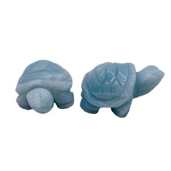 Amazonite Turtle