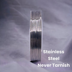 30g/0.3mm Wire Stainless Steel